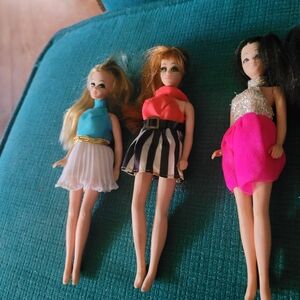 Topper Dawn Doll Trio Set With Accessories